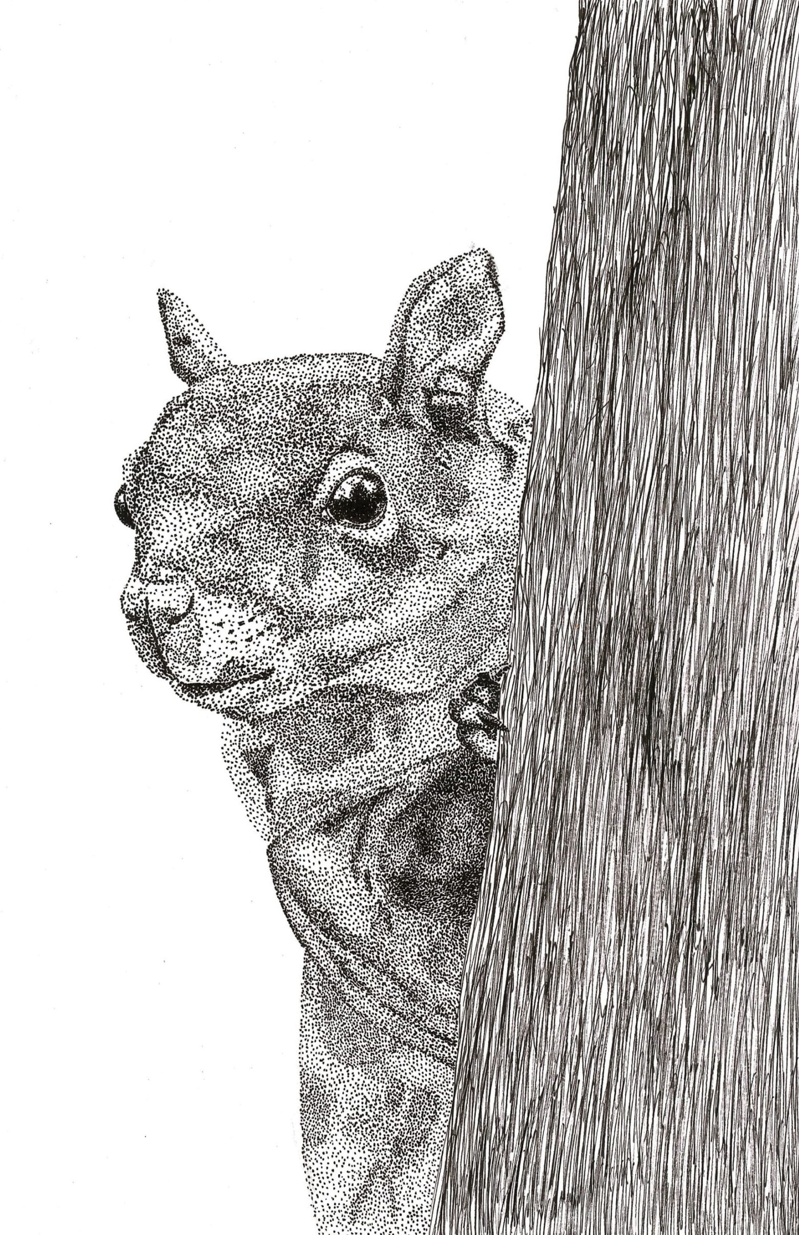 Dot Art Squirrel